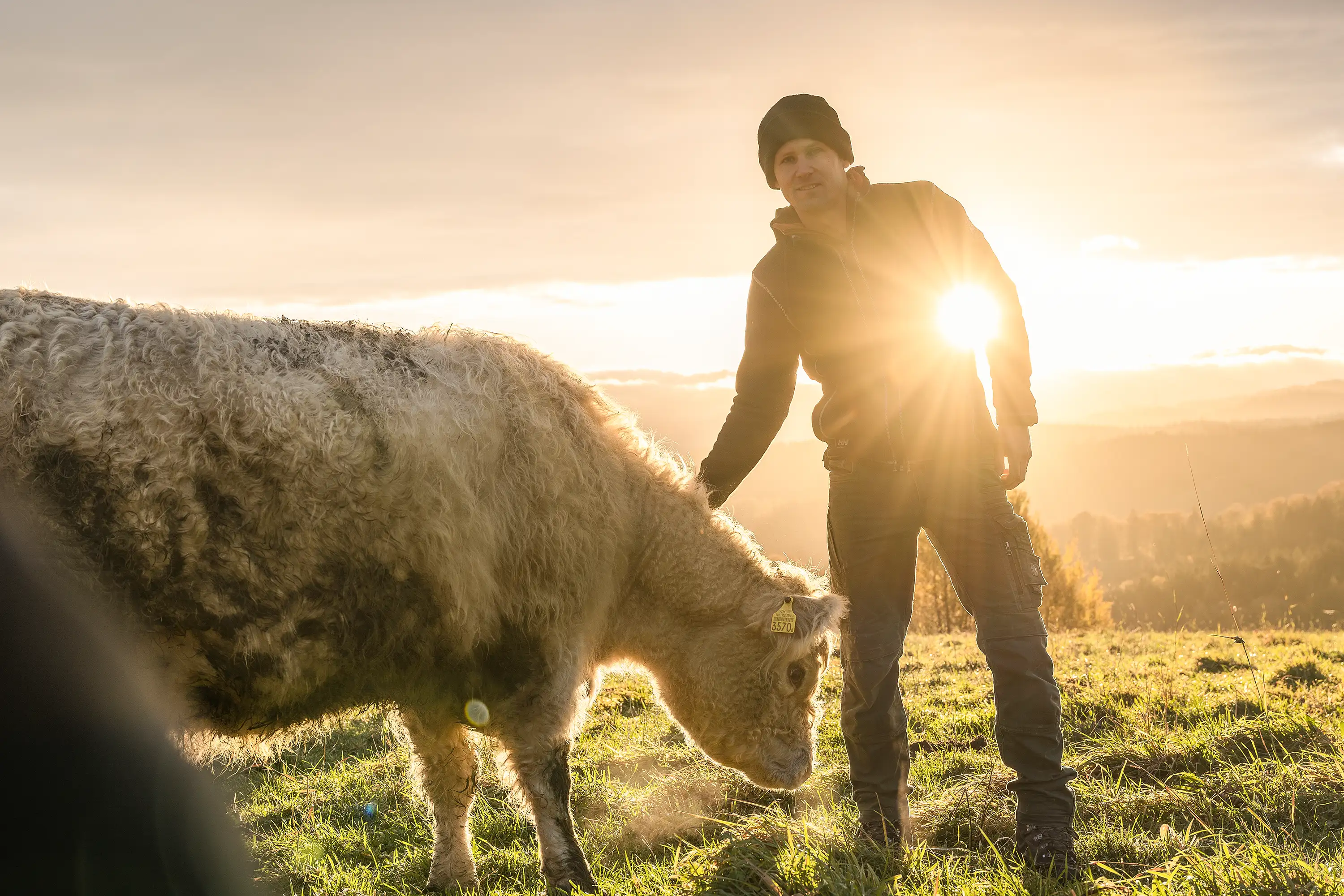 Galloway Rind mit Jonathan Kobel