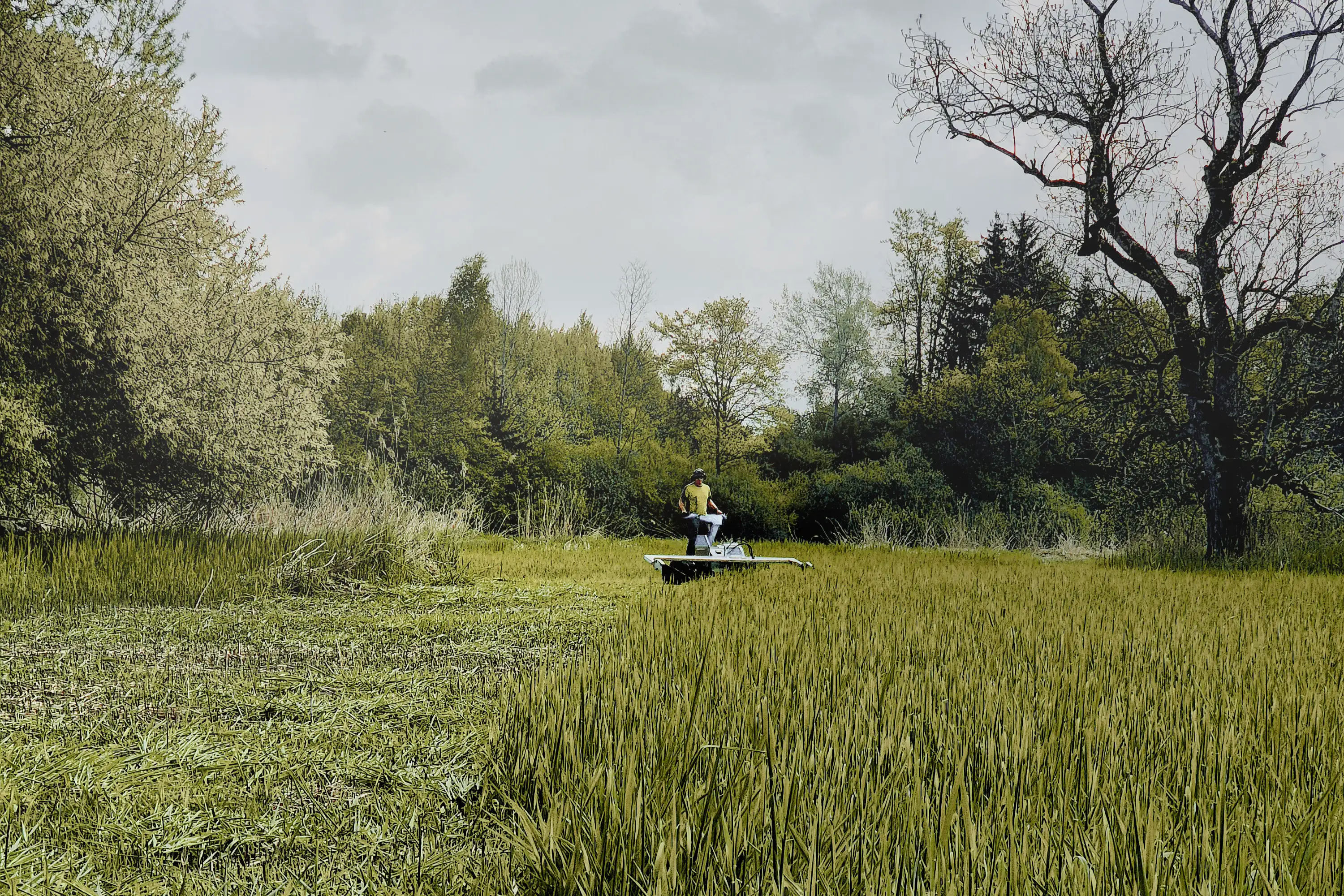 Mähen von Naturschutzflächen